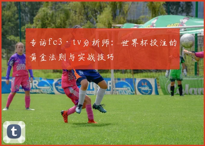 专访fc3·tv分析师：世界杯投注的黄金法则与实战技巧