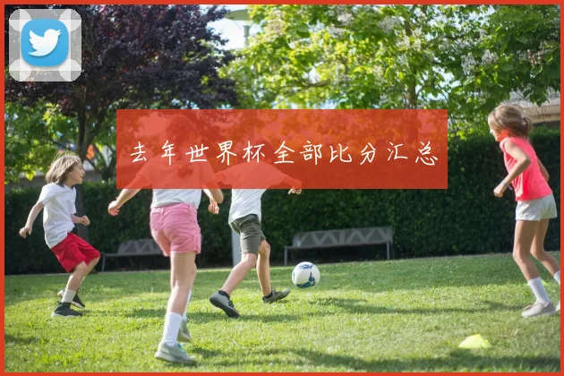 去年世界杯全部比分汇总