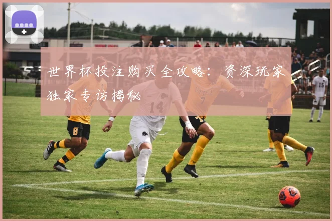 世界杯投注购买全攻略：资深玩家独家专访揭秘