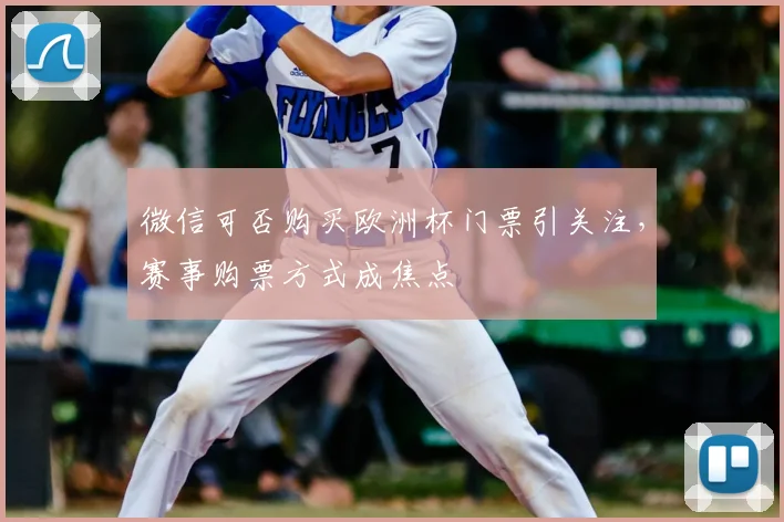 微信可否购买欧洲杯门票引关注，赛事购票方式成焦点