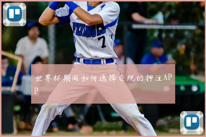 世界杯期间如何选择合规的押注APP