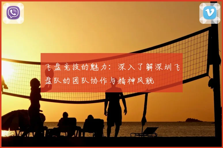 飞盘竞技的魅力：深入了解深圳飞盘队的团队协作与精神风貌