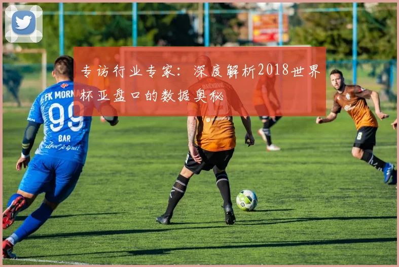专访行业专家：深度解析2018世界杯亚盘口的数据奥秘