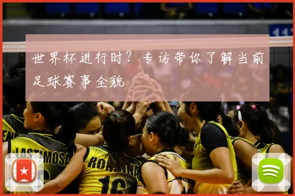 世界杯进行时？专访带你了解当前足球赛事全貌