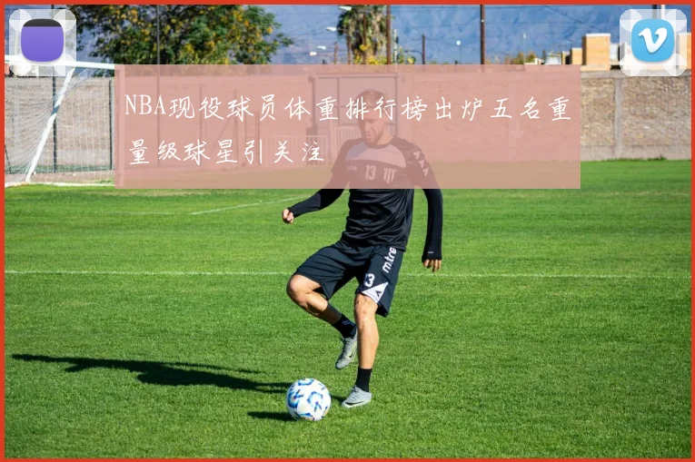 NBA现役球员体重排行榜出炉五名重量级球星引关注