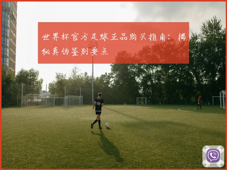世界杯官方足球正品购买指南：揭秘真伪鉴别要点