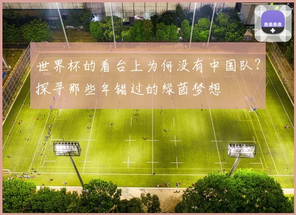 世界杯的看台上为何没有中国队？探寻那些年错过的绿茵梦想