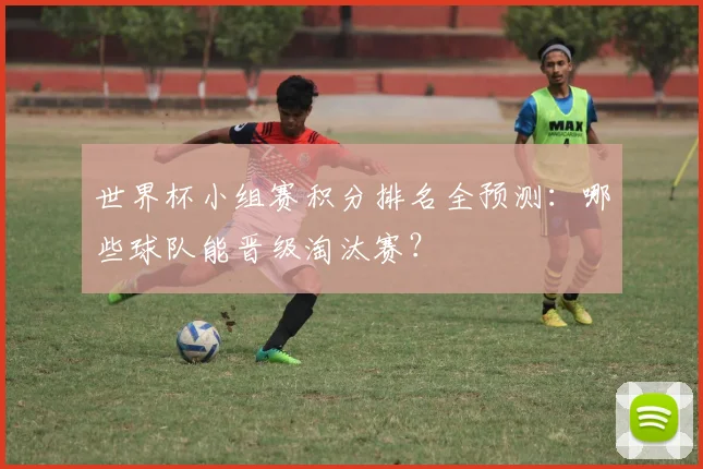 世界杯小组赛积分排名全预测：哪些球队能晋级淘汰赛？