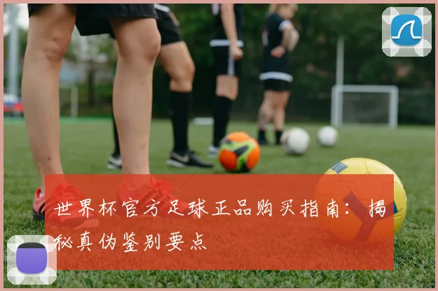 世界杯官方足球正品购买指南:揭秘真伪鉴别要点