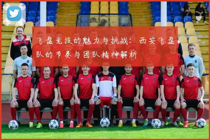 飞盘竞技的魅力与挑战：西安飞盘队的节奏与团队精神解析