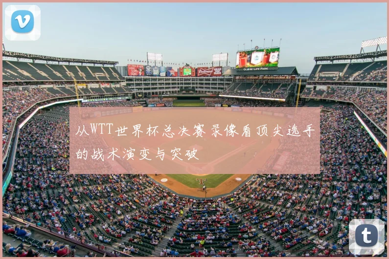 从WTT世界杯总决赛录像看顶尖选手的战术演变与突破