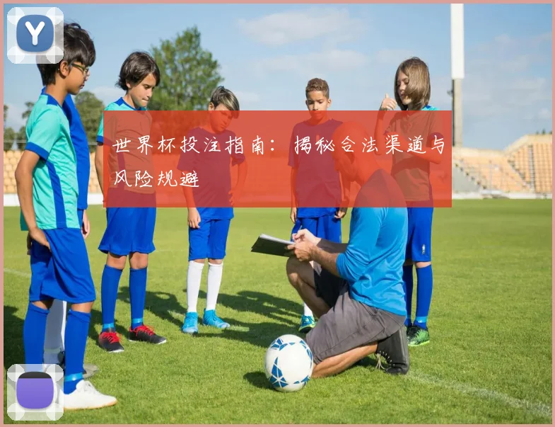 世界杯投注指南:揭秘合法渠道与风险规避