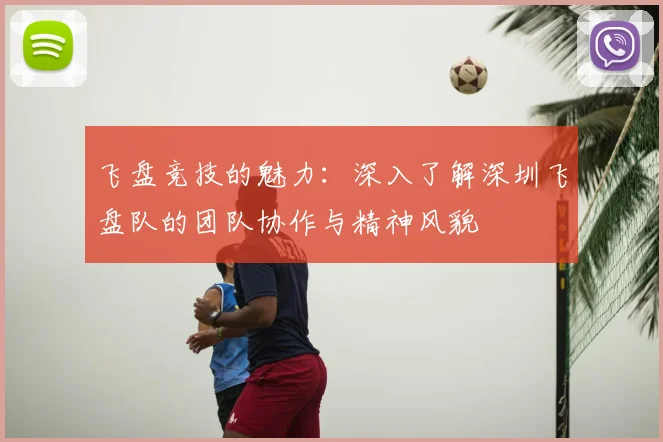 飞盘竞技的魅力：深入了解深圳飞盘队的团队协作与精神风貌