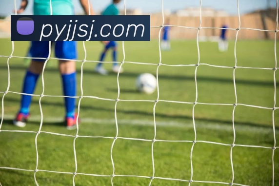 十大信誉好的平台品牌故事